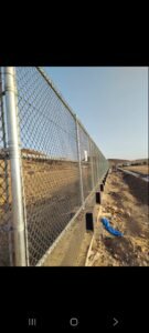 شبوك حيوانات